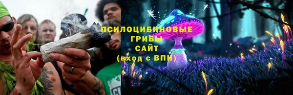 дмт Аркадак